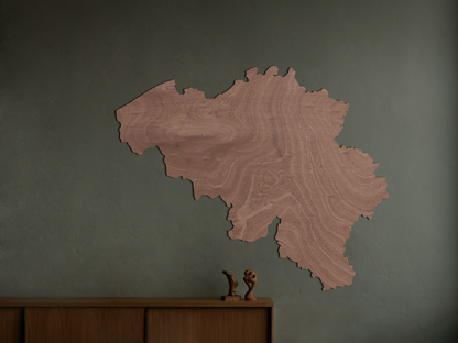 Wanddecoratie kaart van België