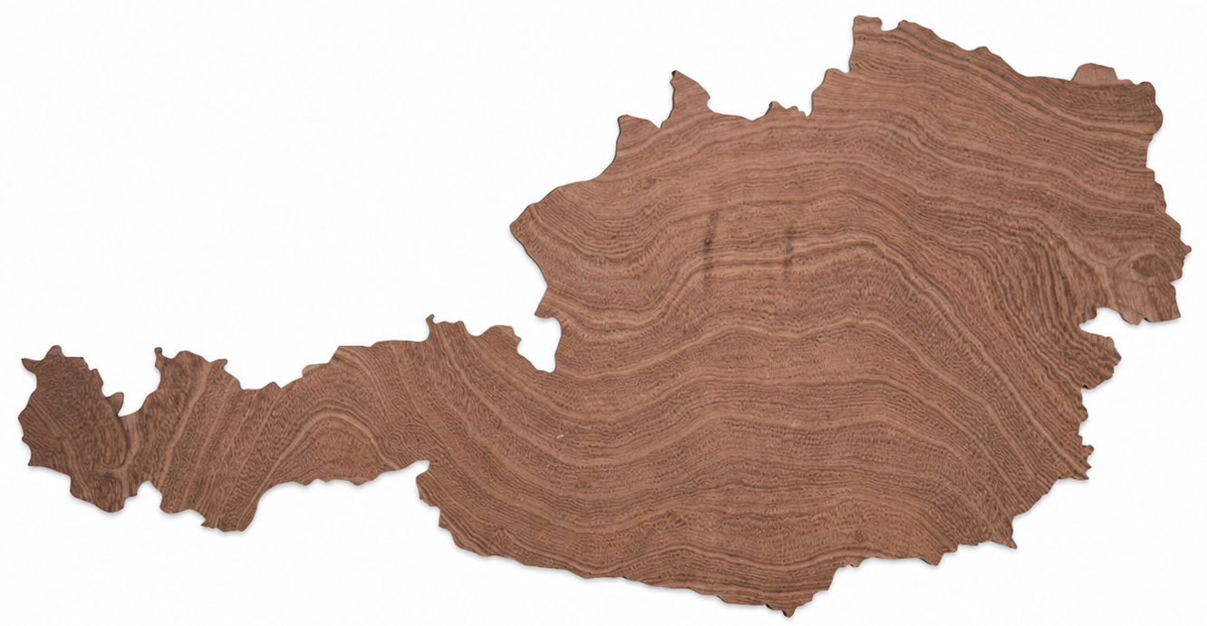 Wooden map - Austria