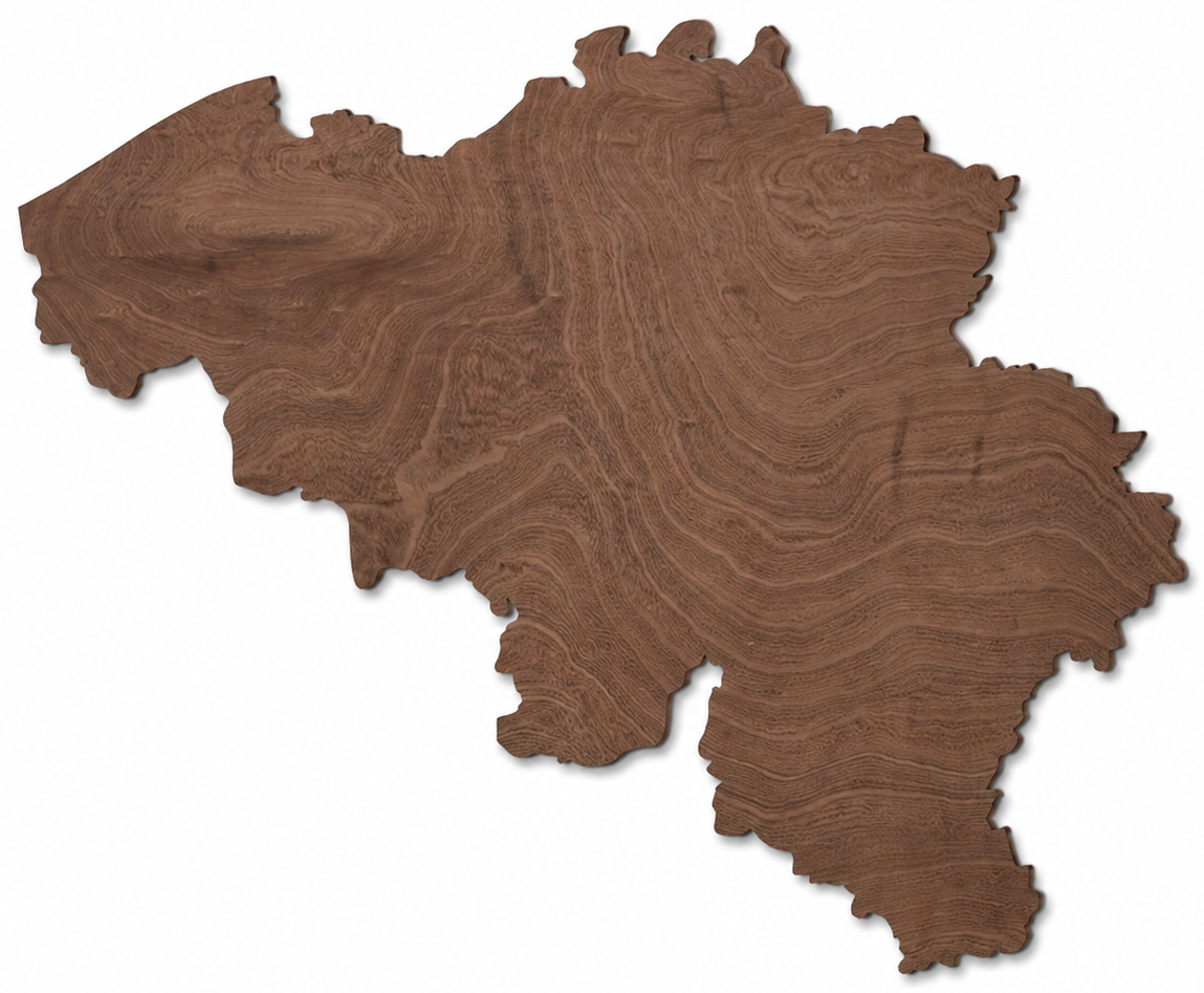 Wooden map - Belgium