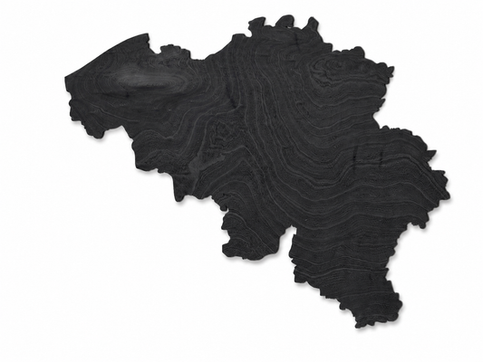 Houten landkaart - België