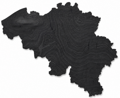 Wooden map - Belgium