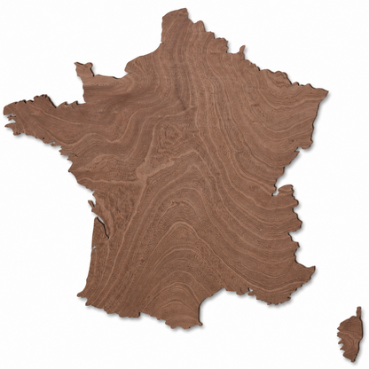Wooden map - France
